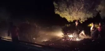 Mersin'deki Orman Yangını Kontrol Altına Alındı