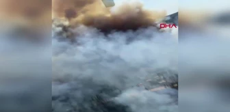 Muğla'da Orman Yangını: Alevler Akyol ve Kemikler Mahallerini Tehdit Ediyor