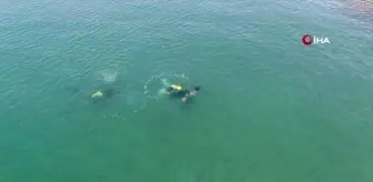 Otomobilde cinayet işleyen zanlı tutuklandı