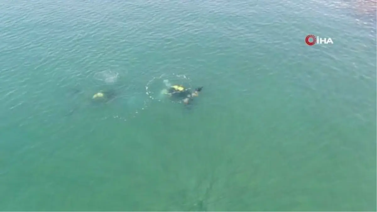 Otomobilde cinayet işleyen zanlı tutuklandı