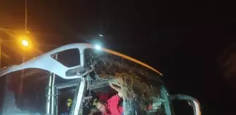 Tarsus'ta otobüs ve kamyonlar çarpıştı: 7 yaralı