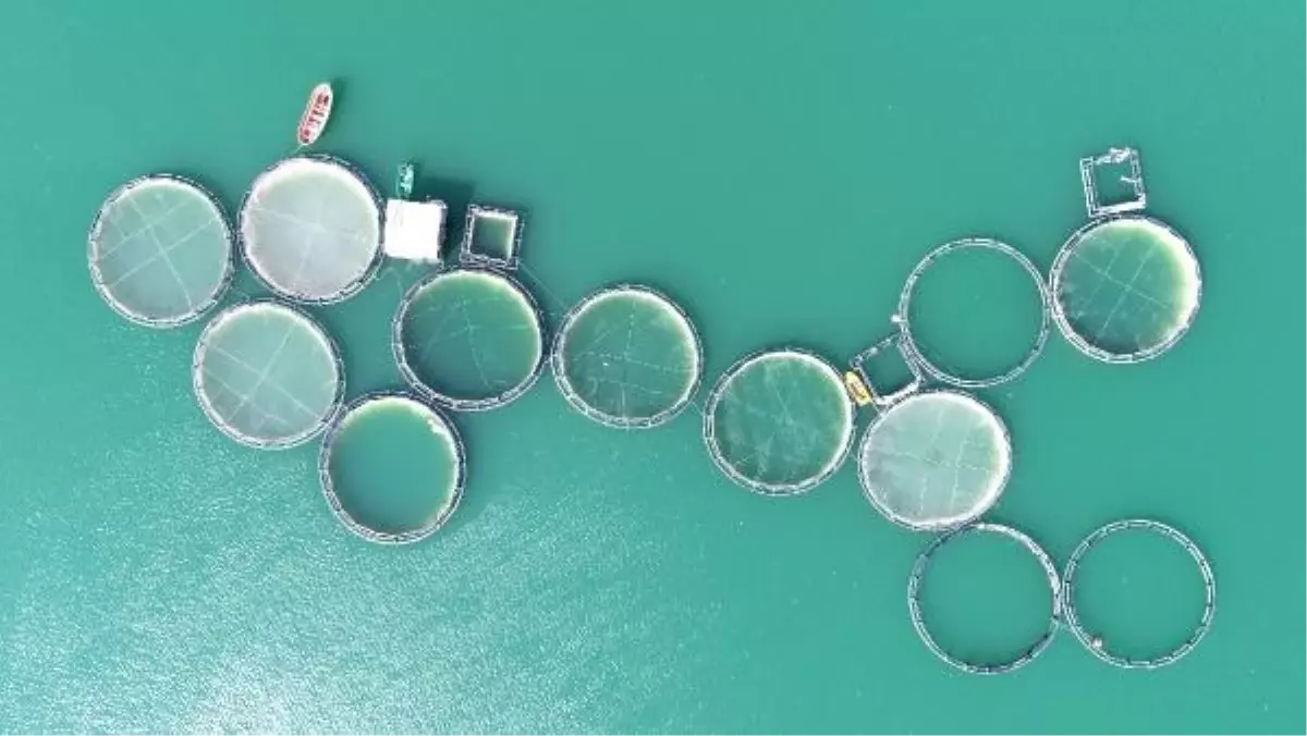 Van'da Zernek Baraj Gölü'nde Kuraklık Alarmı