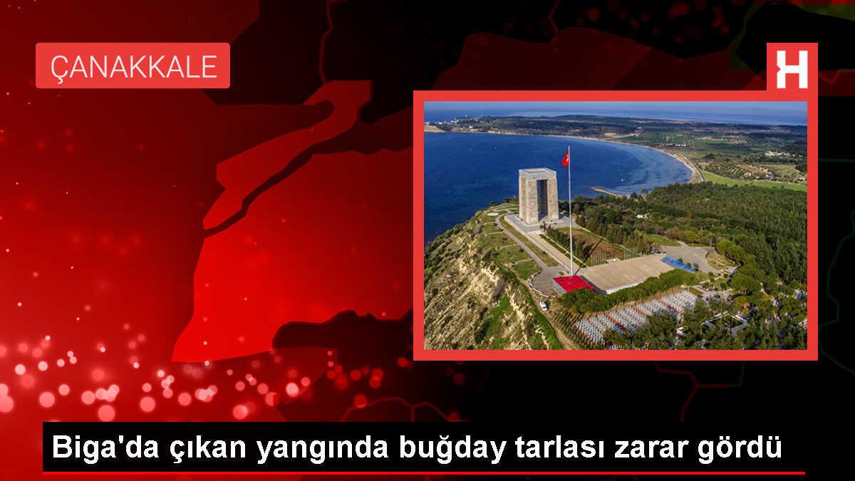 Çanakkale'de çıkan yangında 12 dönümlük buğday tarlası zarar gördü