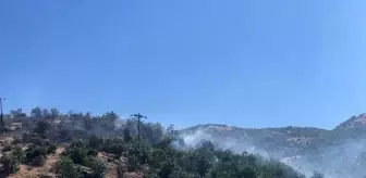 Bingöl Genç'te Ormanda Çıkan Yangın Kontrol Altına Alındı