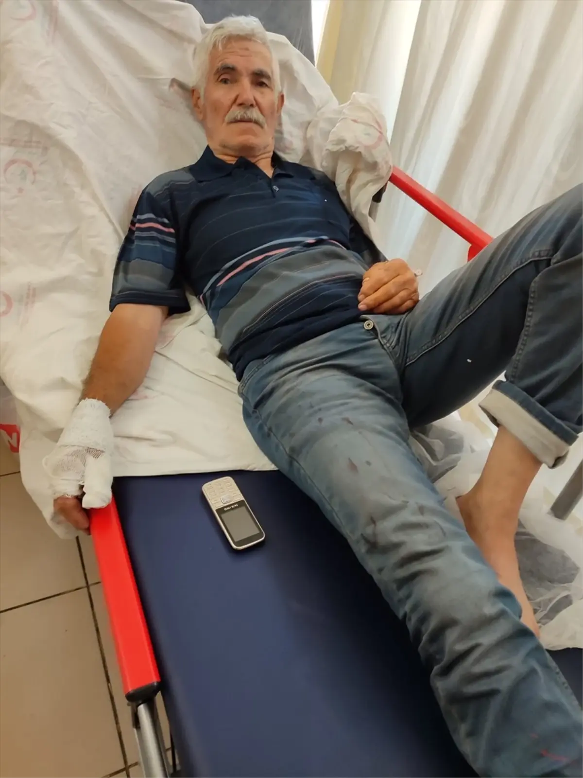 Arının soktuğu sürücü motosikletten düşerek yaralandı