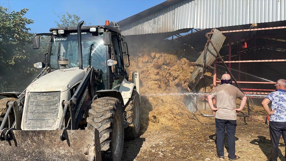 Düzce'de Ahır Yangını: 10 Kişi Dumandan Etkilendi, 25 Ton Saman Kullanılamaz Hale Geldi