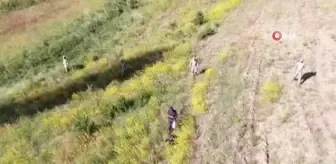 Eskişehir'de kaybolan yaşlı adam ölü bulundu