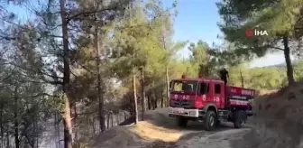 Hatay'da çıkan orman yangını kontrol altına alındı