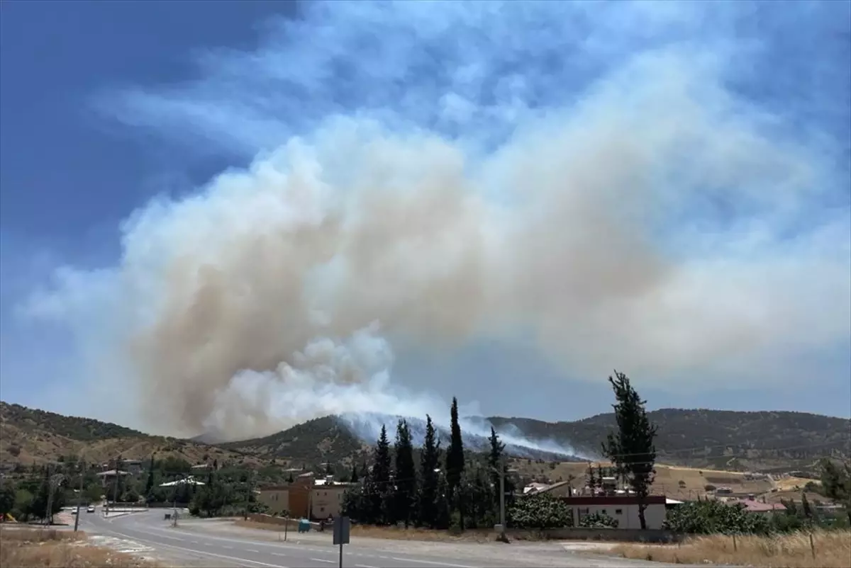 Kahramanmaraş'ta çıkan orman yangınına müdahale ediliyor