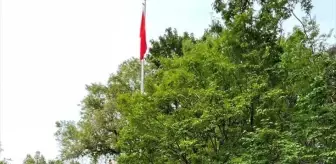 Kanada'da 15 Temmuz Demokrasi ve Milli Birlik Günü etkinlikleri düzenlendi