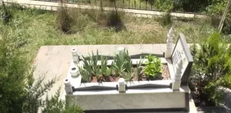 Şehit Öğretmenin Annesi: 'Benim Çocuğum Devleti İçin Okudu'