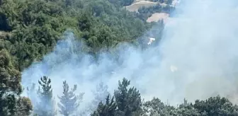 Sumbas ilçesinde orman yangını çıktı