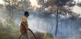 Adana'da çıkan orman yangınları kontrol altına alındı