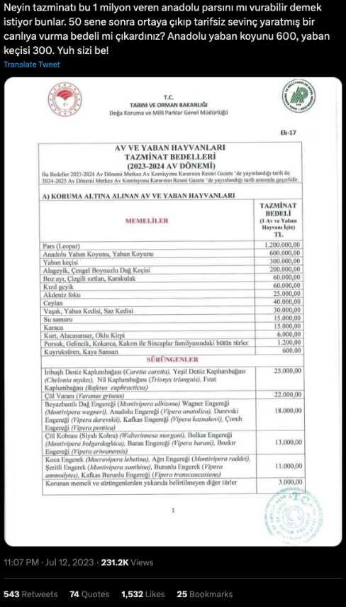 Anadolu Parsı'nın avlanmasına izin verildiği iddiası asılsız çıktı Anadolu Parsı'nın avlanmasına izin verildiği iddiası asılsız çıktı