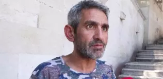 Eyüpsultan'da Kedilere Asit Dökülerek Yakılma Olayı