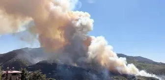 Hatay'da orman yangını! Ekipler hem karadan hem havadan müdahale ediyor