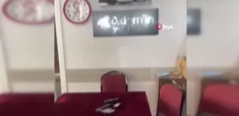 'Mazlum' adlı anne kedi, kendisine verilen yiyecekleri yavrularına taşıyor