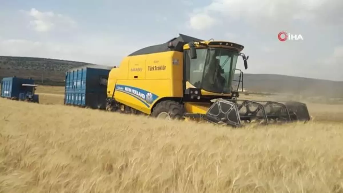 Yavuzeli'nde buğday ve arpa hasadı sürüyor