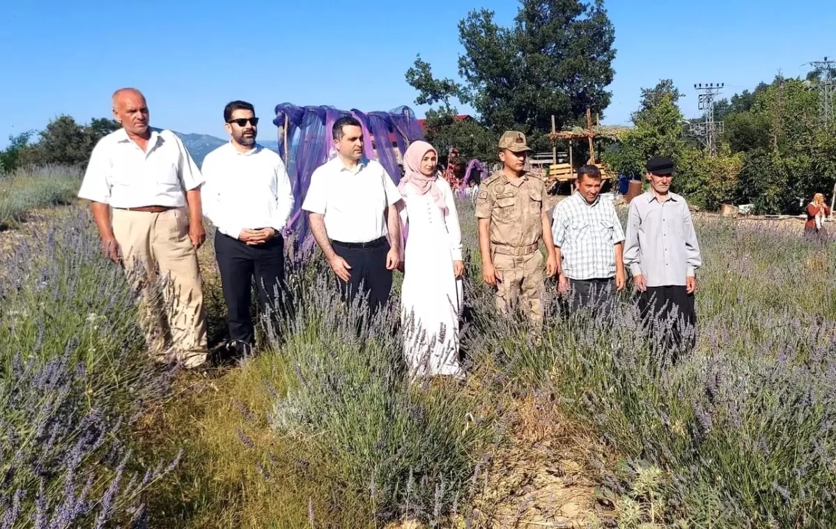 Adana Kozan'da Lavanta Bahçesi Açıldı