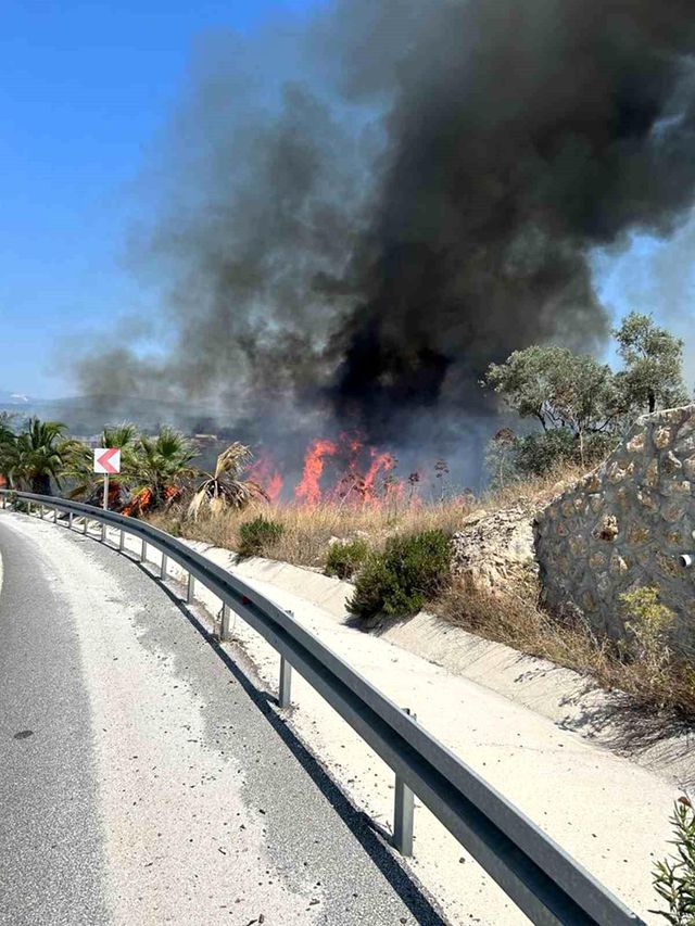 Milas-Bodrum karayolu Havalimanı kavşağında çıkan orman yangınının faili yakalandı