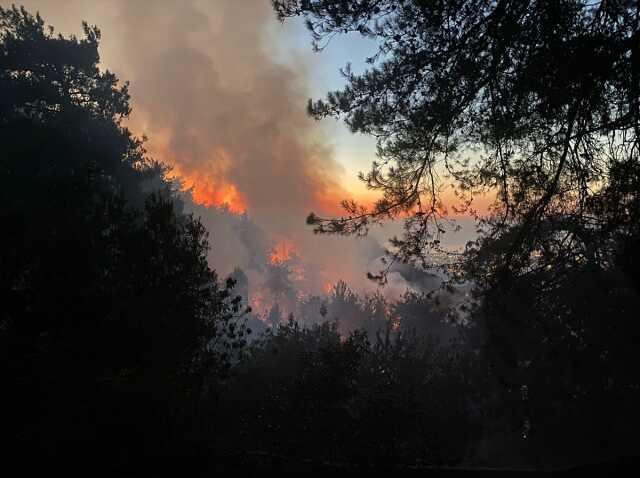 3 ilde orman yangını: Evler yandı, vatandaşlar tahliye edildi, 2 kişi gözaltında