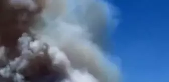 Karaisalı'da çıkan yangın ormana sıçradı