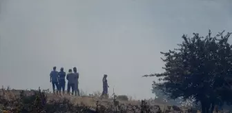 Ayvacık ilçesinde orman yangınına müdahale