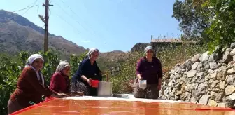 Erzincan'ın Kemaliye ilçesinde kadınlar imece usulü pestil ve pekmez yapıyor