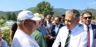 İçişleri Bakanı Ali Yerlikaya, Hatay'ın Belen ilçesindeki orman yangınıyla ilgili gözaltına alınan iki kişiden birinin tutuklandığını açıkladı.