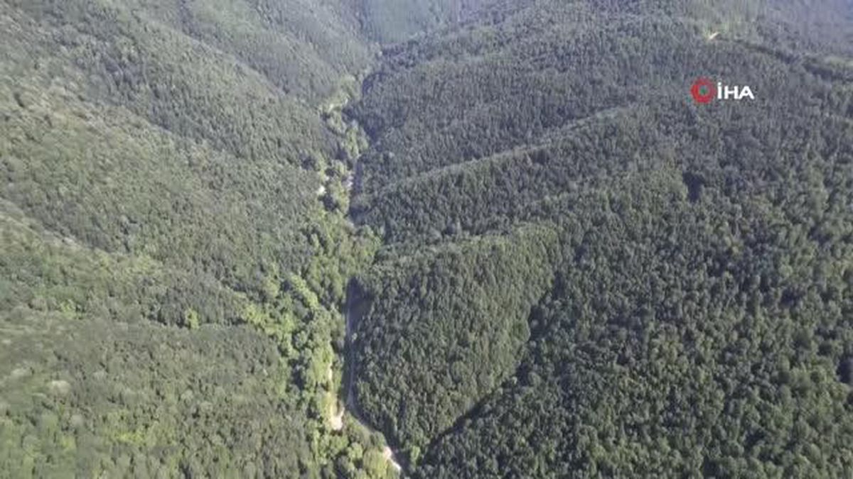 Kurtköy Kapılı Çınar Mesire Alanı Tabiat Parkı Olmaya Aday