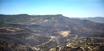 Mersin'deki Orman Yangını Kontrol Altına Alındı