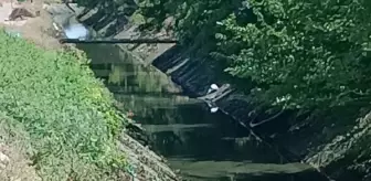 Diyarbakır'da 10 yaşındaki kız çocuğu kayboldu