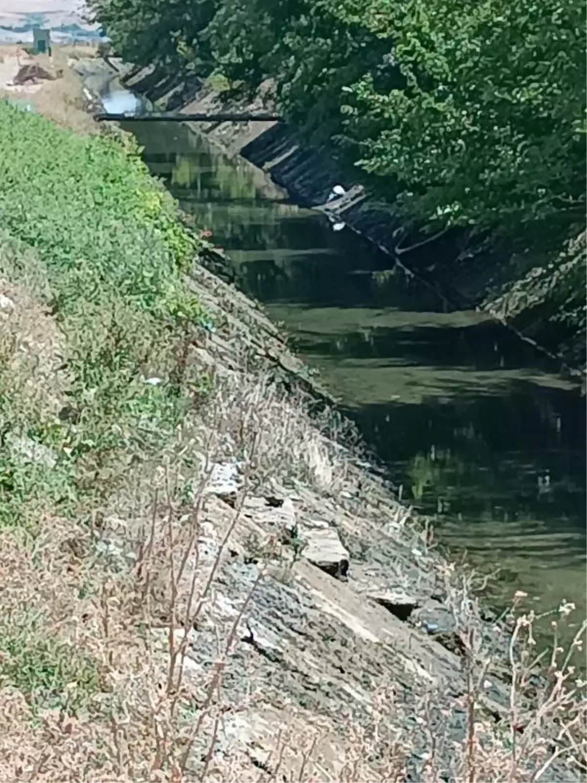 Diyarbakır'da 10 yaşındaki kız çocuğu kayboldu