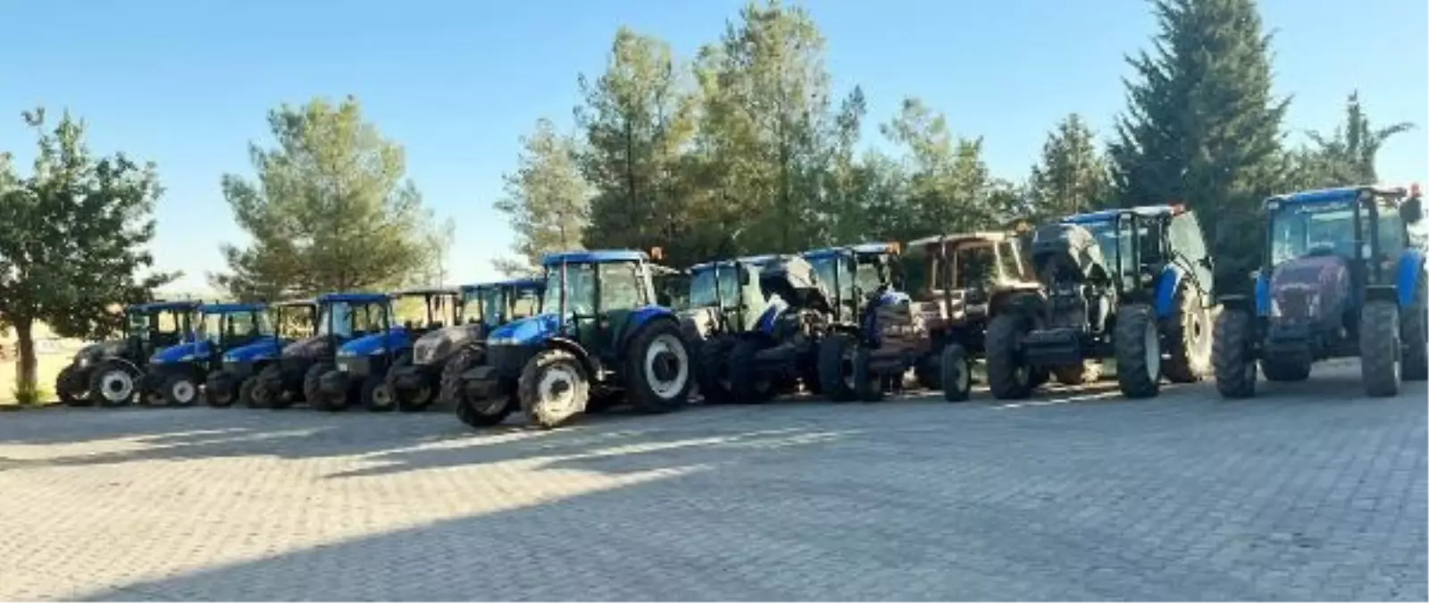 Şanlıurfa'da Elektrik Kesintilerine Karşı Eylem Yapan Çiftçilere Müdahale: 13 Gözaltı