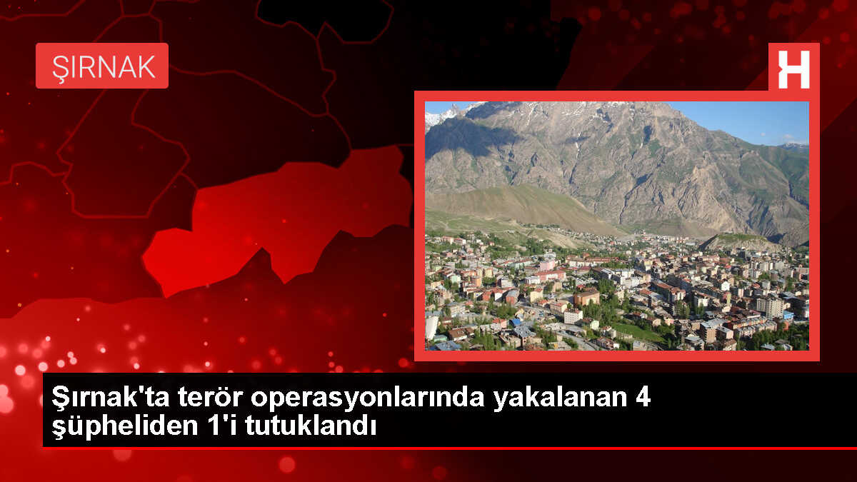 Şırnak'ta FETÖ ve PKK/KCK operasyonunda 1 şüpheli tutuklandı