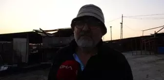 Çanakkale'deki Orman Yangınında Hayvanlar Yanarak Öldü