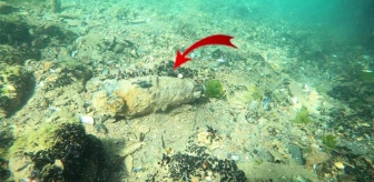İstanbul Boğazı'nda midye toplarken patlamamış top mermisi buldu