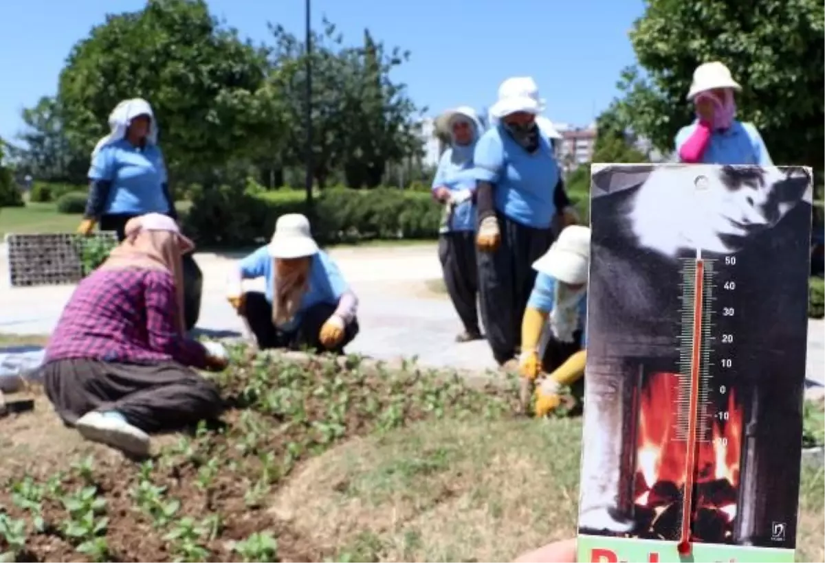 Adana'da Kadın Peyzaj İşçileri Sıcak Havada Çalışmaya Devam Ediyor
