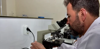 Burdur Mehmet Akif Ersoy Üniversitesi'nden Kara Mürver Bitkisi ve Kolon Kanseri Araştırması