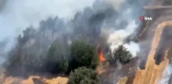 MSB'den yangın söndürme çalışmalarına helikopter desteği