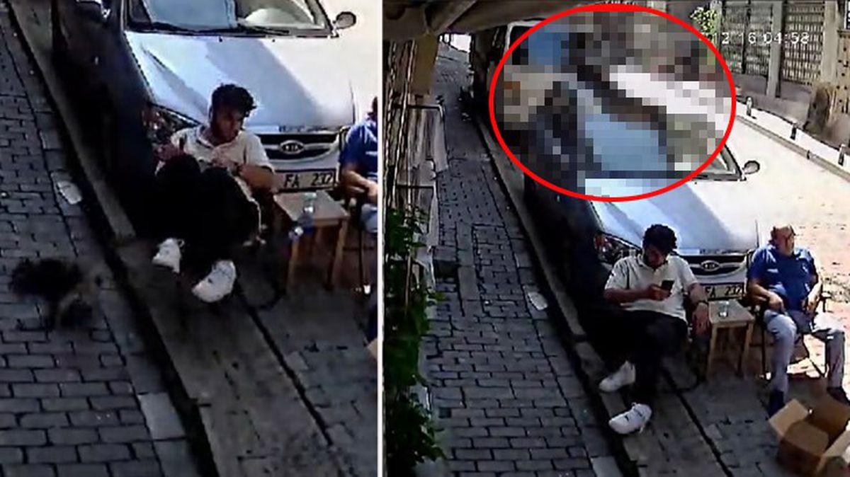 Saç tıraşı için sıra bekliyordu, ikinci kattan üzerine kedi düştü