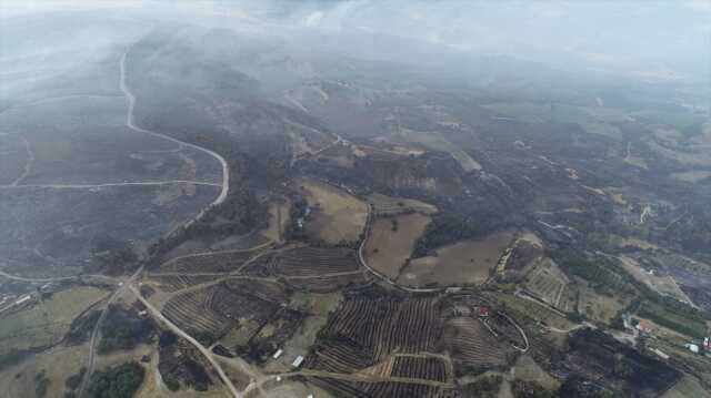 Son Dakika: 3 gündür devam eden Çanakkale'deki orman yangını kontrol altına alındı Son Dakika: 3 gündür devam eden Çanakkale'deki orman yangını kontrol altına alındı