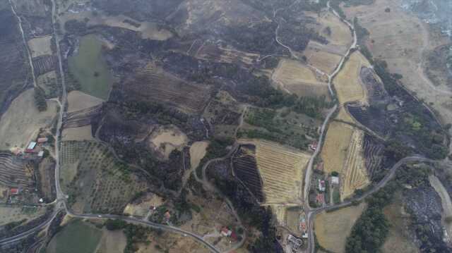 Son Dakika: 3 gündür devam eden Çanakkale'deki orman yangını kontrol altına alındı Son Dakika: 3 gündür devam eden Çanakkale'deki orman yangını kontrol altına alındı