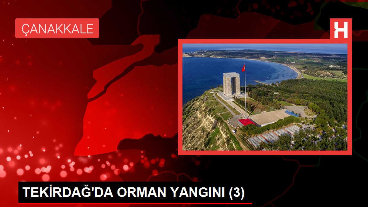 Tekirdağ'da orman yangını devam ediyor