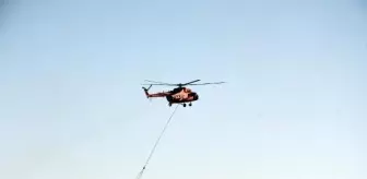 Tekirdağ'da çıkan orman yangını kontrol altına alındı