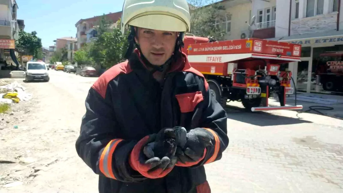Malatya'da çatı yangınında etkilenen güvercinler kurtarıldı
