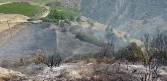 Manisa'da makilik alanda çıkan yangın kontrol altına alındı