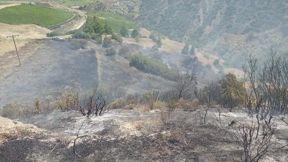 Manisa'da makilik alanda çıkan yangın kontrol altına alındı