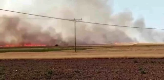 Ankara'nın Haymana ilçesinde çıkan yangında 500 dönümlük arazi küle döndü