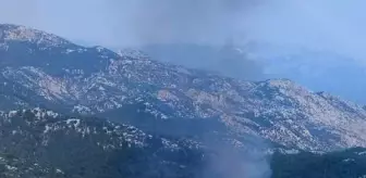 Isparta sınırındaki orman yangını 1 saatte söndürüldü